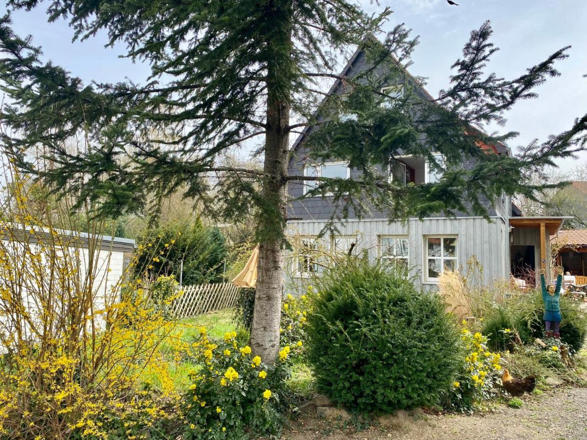 Gronocottage Bad Harzburg Eksteriør billede